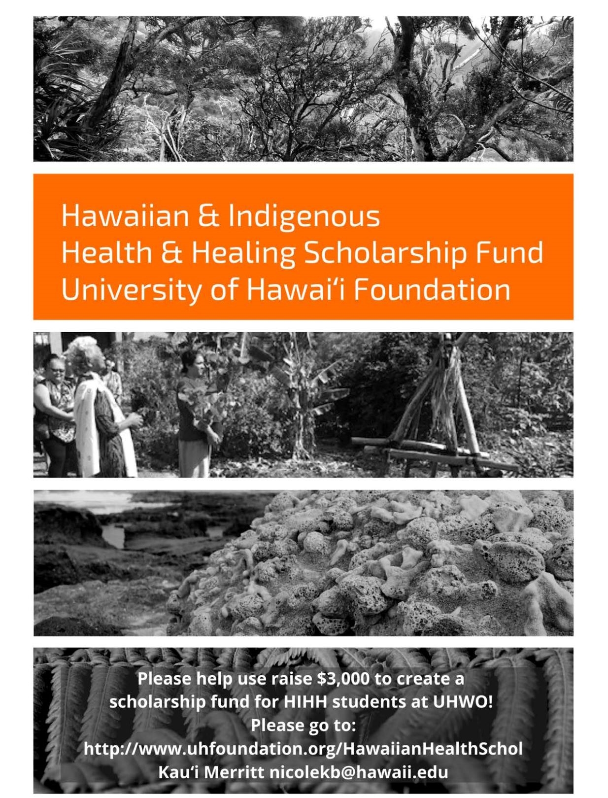 Hawaiian & Indigenous Health & Healing Scholarship Fund, University of